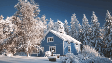 Winterizing Your Home: A Complete Guide to Keeping Warm and Saving Energy