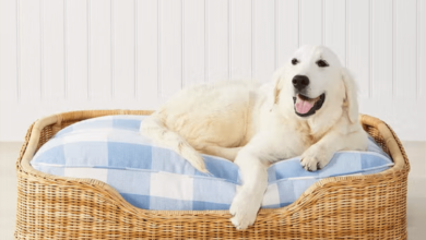 Luxury:35kn4e4fs7q= Dog Bed