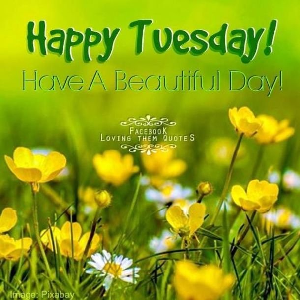 Beautiful:_Keaz7lxxao= Happy Tuesday