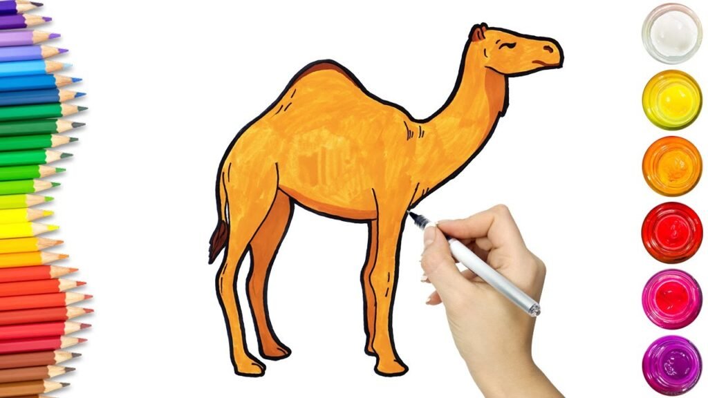 Drawing:Xp5pmetygu8= Camel