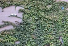 security evaluation taskforce numbers