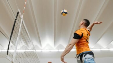 contact momentum nexus numbers